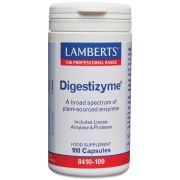 DIGESTIZYME (natural plant digestive enzymes) (100 Capsules)                