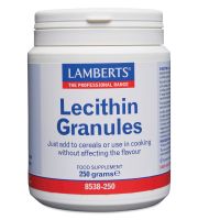 SOY LECITHIN GRANULES (phosphatidylcholine food source supplements) (250g)                 