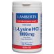 L-LYSINE HYDROCHLORIDE 1000mg (90 Tablets)                        