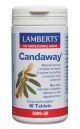CANDAWAY (candida yeast infection natural supplement) (60 Capsules)