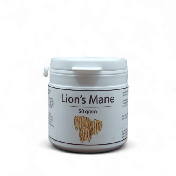 Lion´s mane