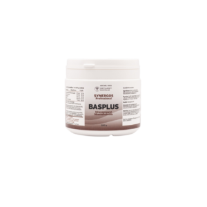 Basplus 