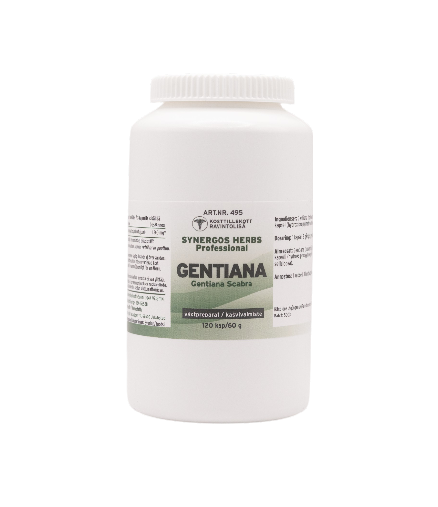 Gentiana