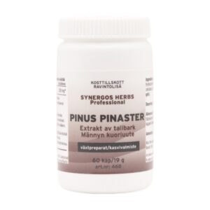 Pinus pinaster