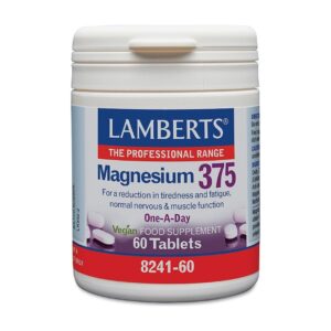 Magnesium 375mg One-A-Day - Lamberts